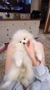 elsgatti Altpins Profile Picture