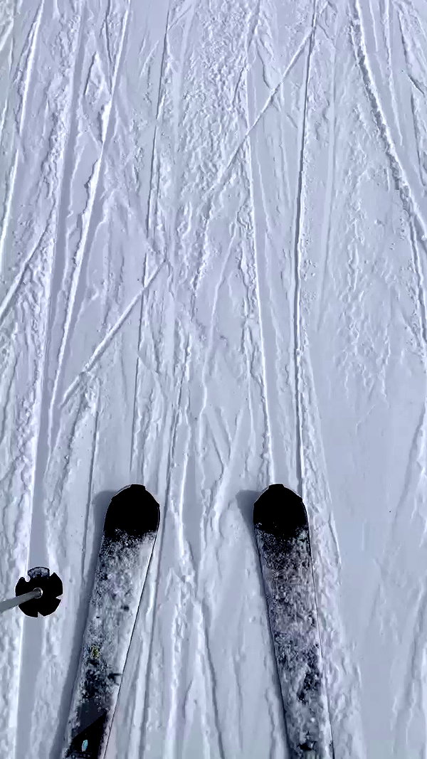 elsgatti archive video preview