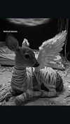 hellokittyangel666 Altpins Profile Picture