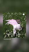 _ann.kim_ Altpins Profile Picture