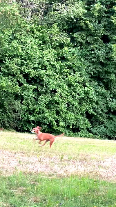 manjolamuriqi manjolamuriqi archive video