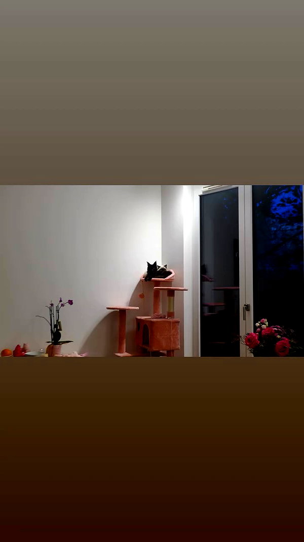 leni.bahr archive video preview