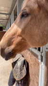 zaini.wiss Altpins Profile Picture