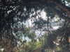 hoodifruit Altpins Profile Picture