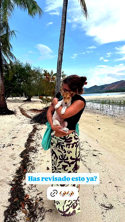 rebeccaschez rebeccaschez archive video