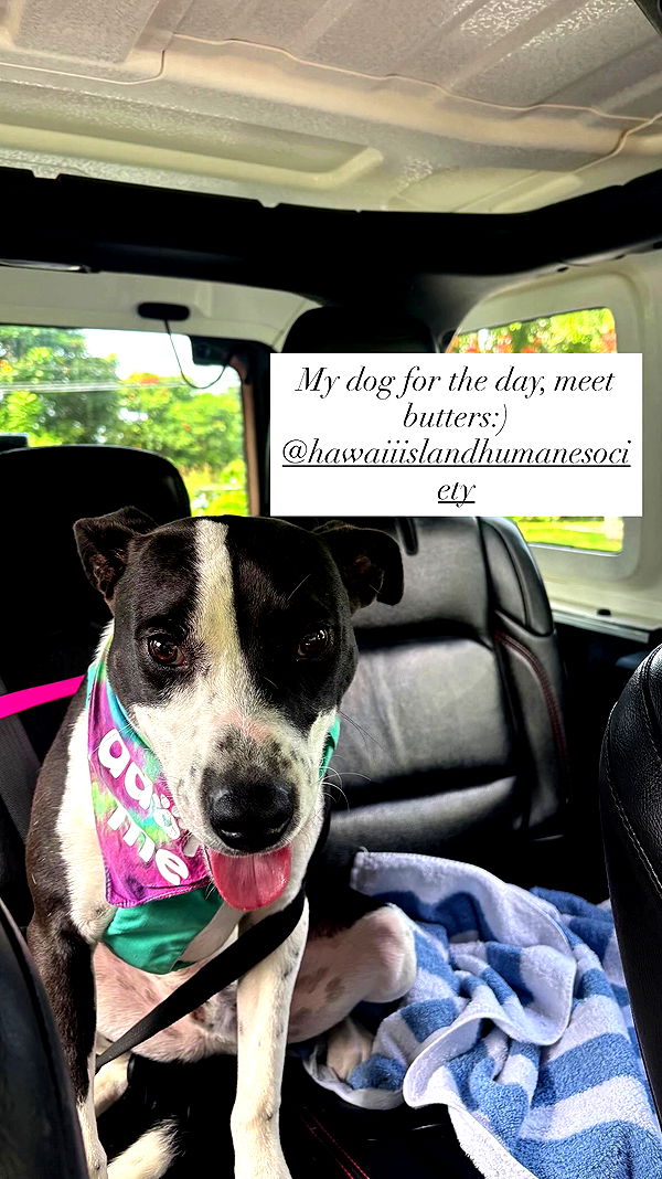 tatum.ricee archive video preview