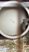 feelbetterinmysweater Altpins Profile Picture