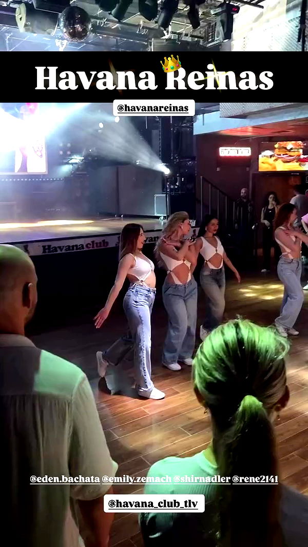 rene2141 archive video preview