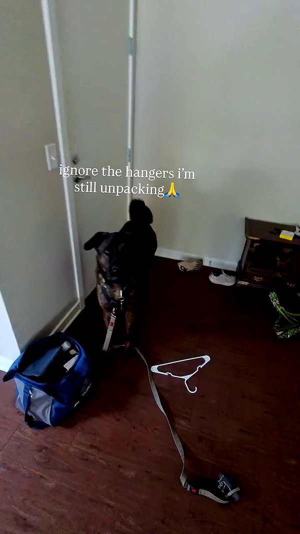 thelizzyporter archive video preview