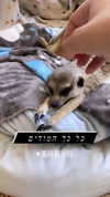 liza_kremer Altpins Profile Picture