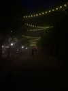 vasian_life Altpins Profile Picture