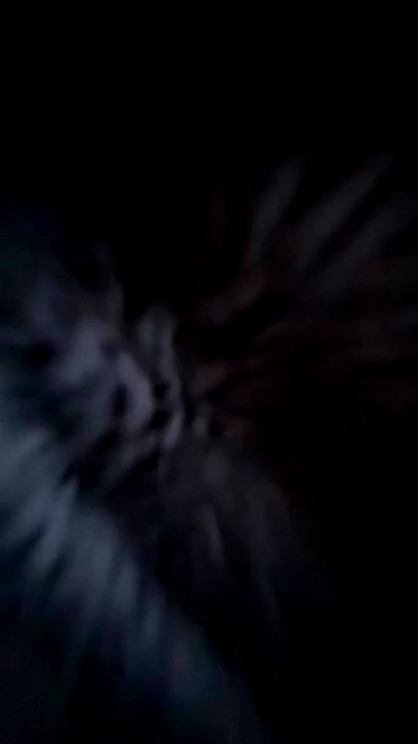 maarrrttttiiinna archive video preview