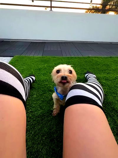 viezery viezery archive video