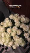 veroni22ka Altpins Profile Picture