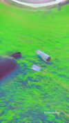 yaarat11 Altpins Profile Picture