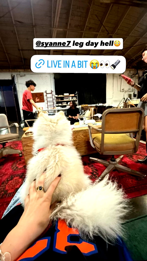 n.nina666 archive video preview