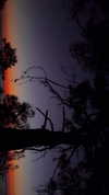 caandyfliip Altpins Profile Picture