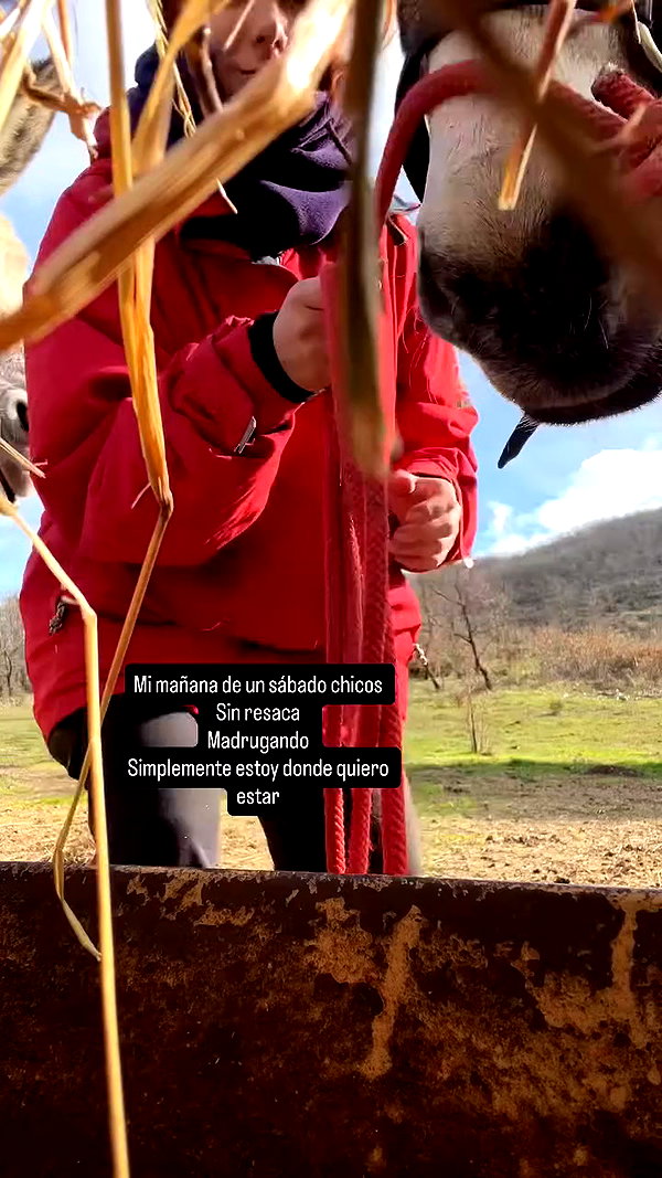 _broock_ archive video preview