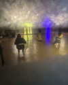 darkstar_mia Altpins Profile Picture