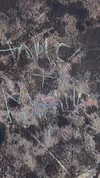 orman.mariee Altpins Profile Picture