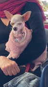 babynympho_archive Altpins Profile Picture