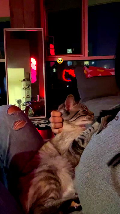 suikomuu suikomuu archive video