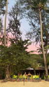 shirakor_ Altpins Profile Picture