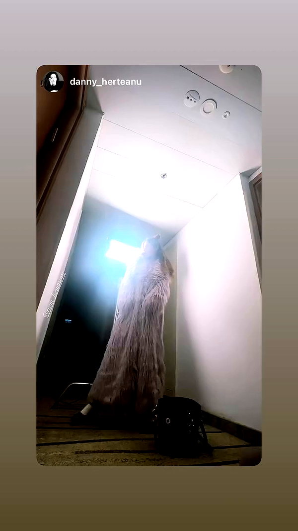 romi_henenson archive video preview
