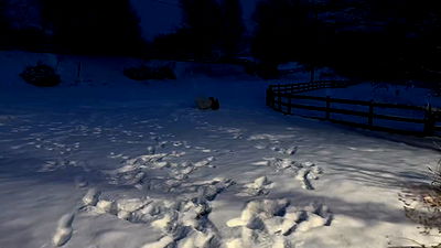 missnyxdawn missnyxdawn archive video