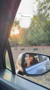 _lironatias Altpins Profile Picture