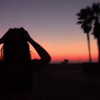 digital.grave Altpins Profile Picture