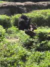 hhh.e_c.v Altpins Profile Picture