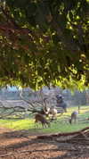 yuli.barell Altpins Profile Picture
