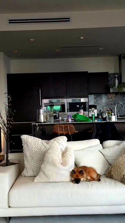 itsmiawaifuu itsmiawaifuu archive video