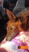 bat.wiings Altpins Profile Picture