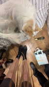 avitallllllllllllllll Altpins Profile Picture