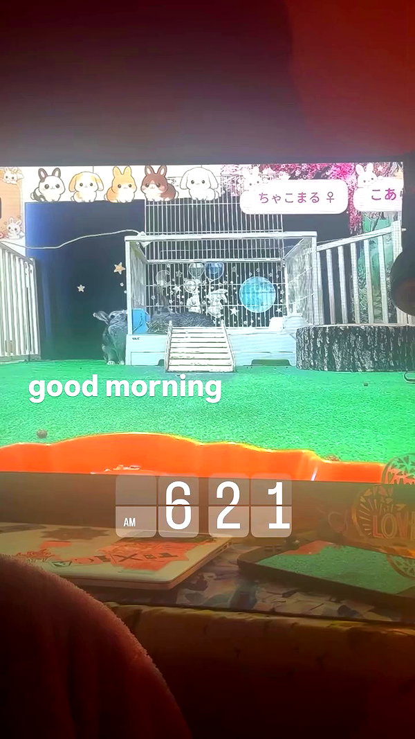 puppyknucklesxx archive video preview
