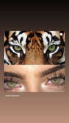 nomagdalina Altpins Profile Picture