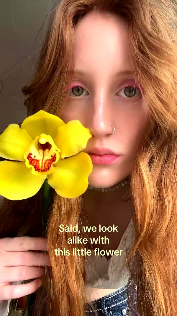 __rrenard__ archive video preview