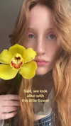 __rrenard__ Altpins Profile Picture