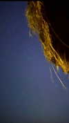 pinx_ir Altpins Profile Picture