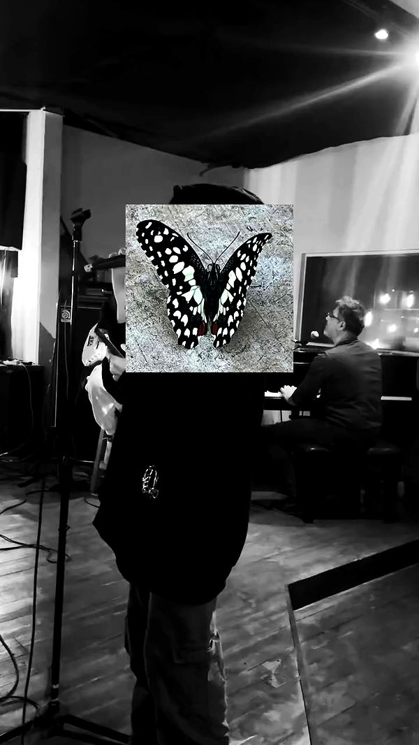 moonliliaght archive video preview