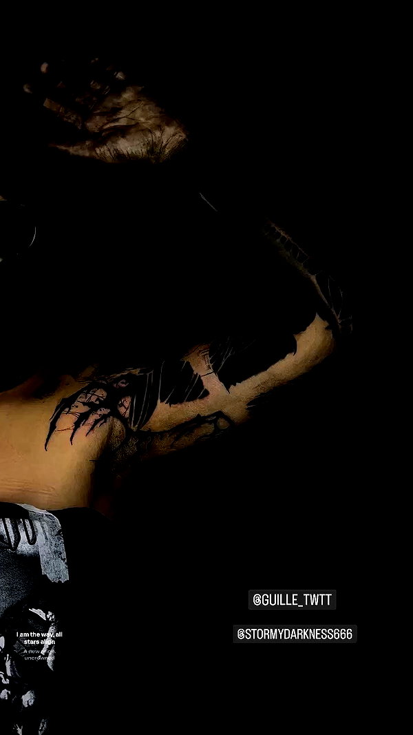 venecatattoo archive video preview