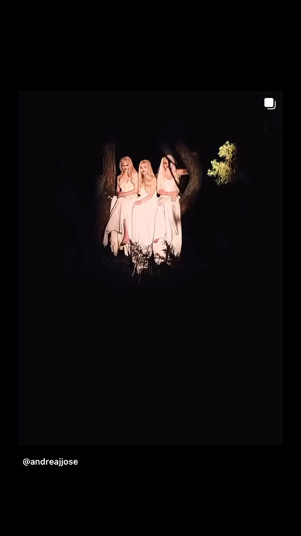 maruliners archive video preview