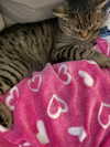 shanidahan7 Altpins Profile Picture
