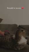 sonia_litvanchuk Altpins Profile Picture