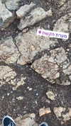 eitan.420 Altpins Profile Picture