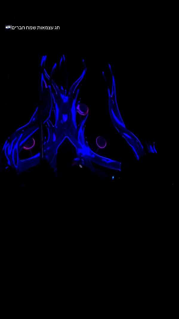 _.shelichka._ archive video preview