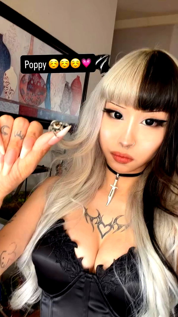 gargoyol archive video preview