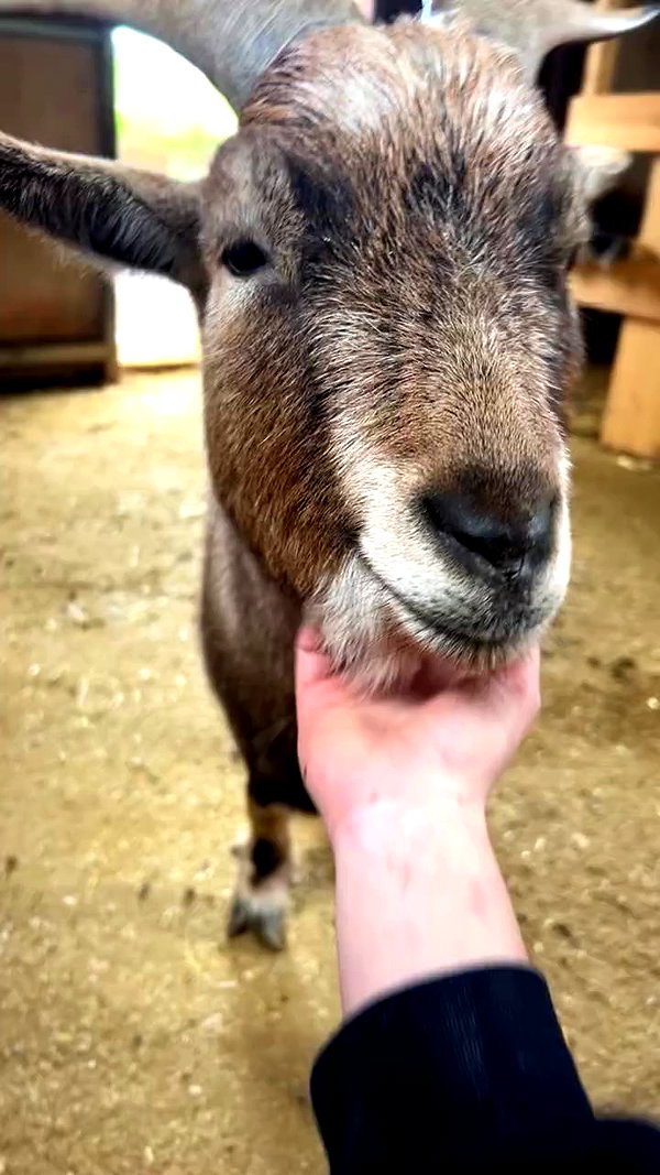 feelbetterinmysweater archive video preview
